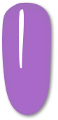 174 Beautiful purple